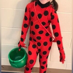 Marvelous Ladybug costume